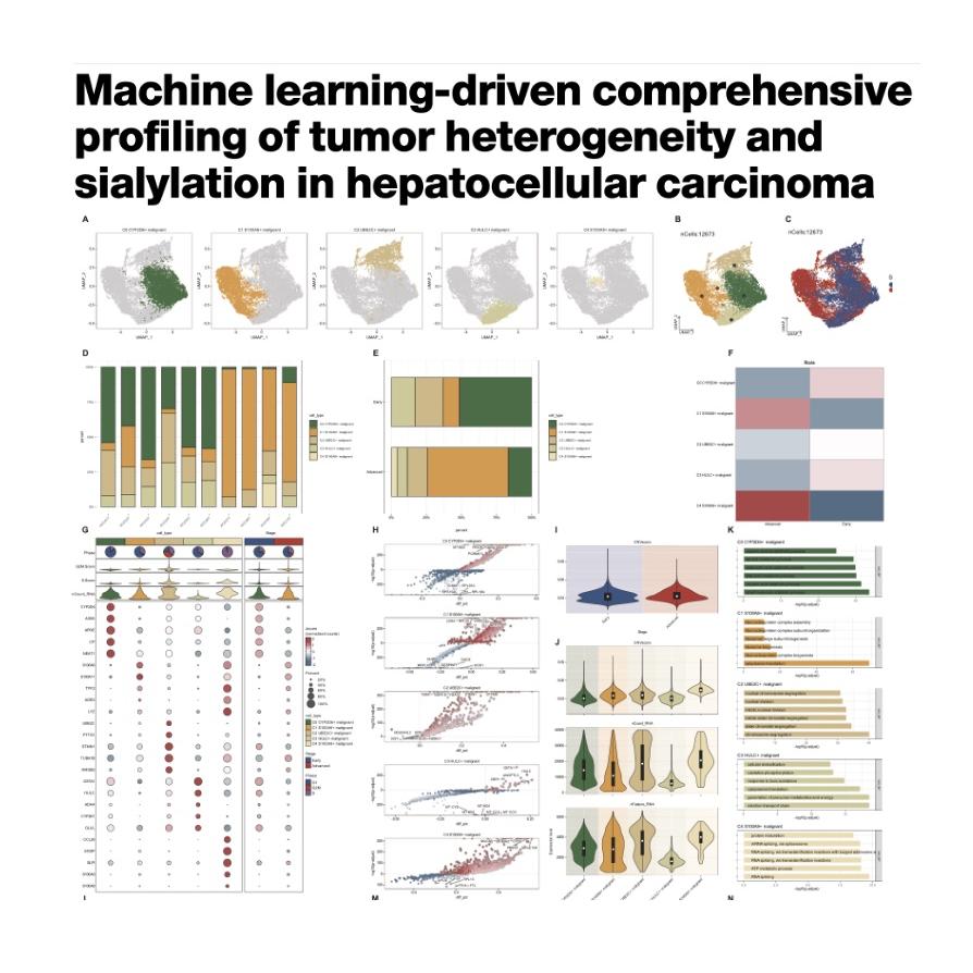 1280-Tumor Heterogeneity in Hepatocellular Carcinoma episode artwork