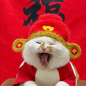 正法寻源
