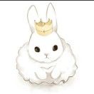 rabbit_4ei8