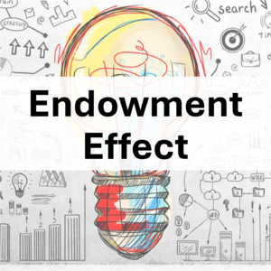 为什么我们总觉得自己拥有的东西更值钱?