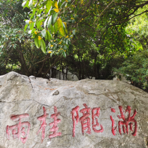 想去哪里，年轻的身体便去寻找