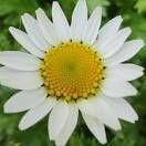 爱咋的咋的的个人播客