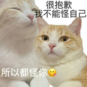 s24.高敏感vs钝感力：早知你来，我便不来了