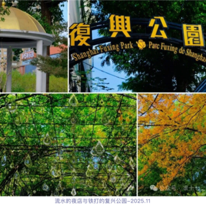 18.一碗《菜肉馄饨》两个上海:是沪式梦核化解方言歧视,还是本地银发族的圈地自嗨?