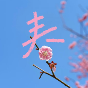 我和你要去闻闻新鲜的春天🍃