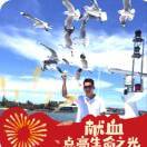 九霄翎