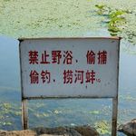枕边羊