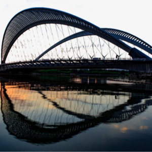 #27.谁在太原跳桥:社会压力还是心理危机