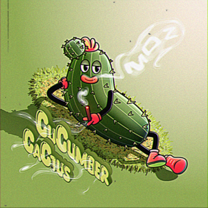 [ Cucumber Cactus ] 🌵| Funky lo-fi beats 🎹