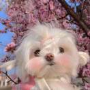 Vine_3Qyt