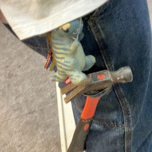 绿绿的溜达故事