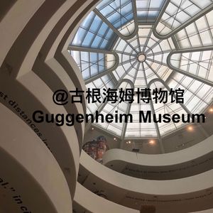 023 通向光的螺旋｜纽约古根海姆博物馆
