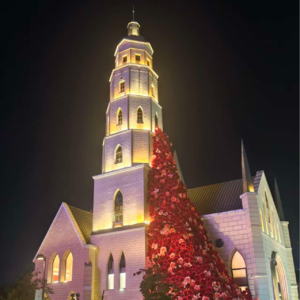 vol.4 没事儿走两步|聊聊2025旅行-云南、自驾、澳门、重庆等