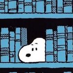 生活生活到底怎么才算生活