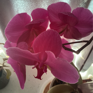 易经风水涣卦和风雷益卦，小畜卦1、3变和2、3变