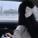 小章鱼骑大鲨鱼