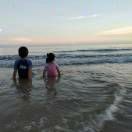 【理论七十六：信号理论】