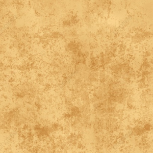 Vol.01 重构你的认知宇宙：能量规律与生命战略的第一性原理