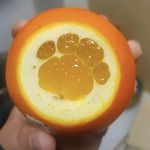 猫猫真的太可爱啦