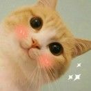 招财狮子喵