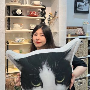 魔仙岛岛主