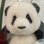 小熊XK