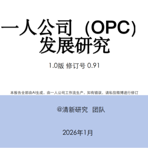 清华重磅研报：告别团队内卷，一人公司重构创业规则