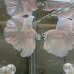 透过起伏的思绪