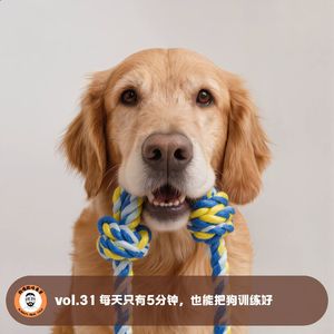 vol.31 每天只有5分钟，也能把狗训练好