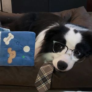 podcaster-avatar