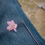 闲yan碎语