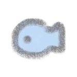 小鱼信箱