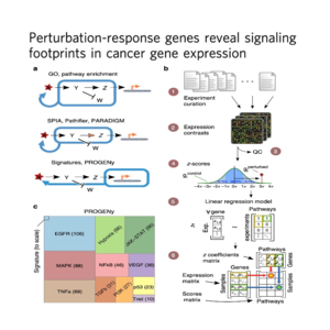 268-PROGENy: Pathway Activity Inference from Gene Expression