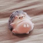 vv_正念版