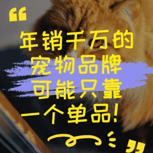 年销千万的宠物品牌可能只靠一个单品