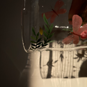 vol.2 经典中医启蒙：与万物沉浮于生长之门