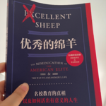 番外｜《优秀的绵羊》与优绩主义陷阱