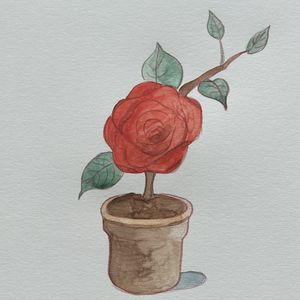 江江爱生活