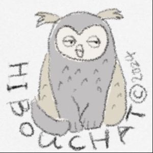 猫头鹰头猫 Hibou Chat