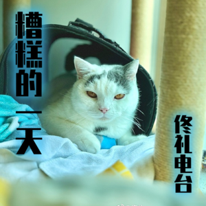糟糕的一天#佟电32