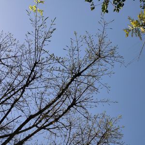 D2012  处理孩子的矛盾