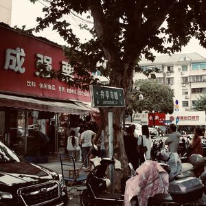 St.49 糖炒栗子开锅，秋天就到了