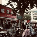 St.49 糖炒栗子开锅，秋天就到了