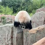 五月十二_wJsq