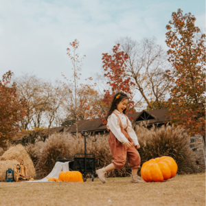 024 当园林设计师学习自然教育：一场疗愈，或一次重塑？