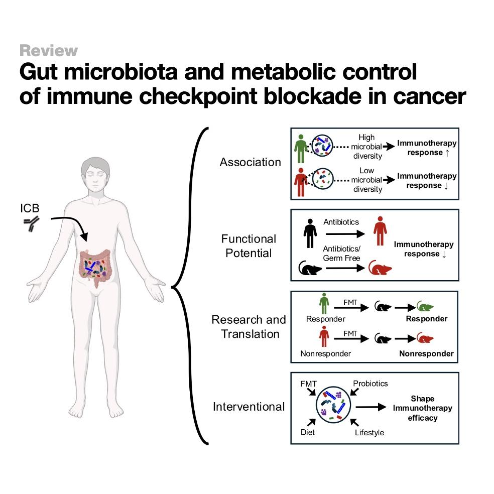 1216-Microbiota-Immunity Axis in Cancer Checkpoint Blockade episode artwork