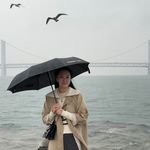 什么鱼什么家