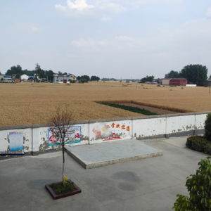 012:北上广的孩子在用互联网学习时，乡村的孩子在用互联网刷抖音