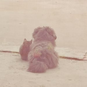 podcaster-avatar