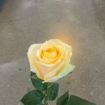 wxy知道啥意思嘛